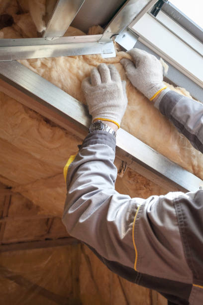 Best Attic Insulation Installation  in Aberdeen, SD