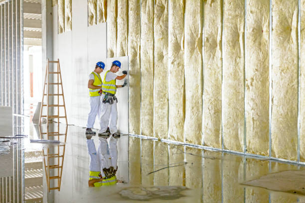 Best Garage Insulation Installation  in Aberdeen, SD